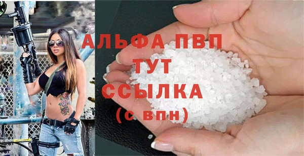 индика Бугульма